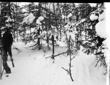 Photo from Mar 2. Slobtsov-Malsennikov. Maslennikov has hard ski mountings. A trail that looks like from wide Mansi ski is visible on a snowdrift above the storage.