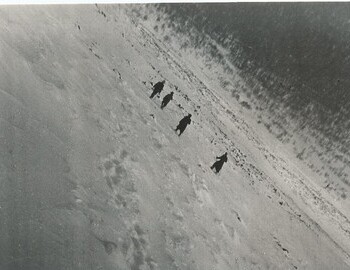 Photo by Grigoriev. Back: "In search of the students who died. March 13, 1959. Ortyukov, I.S. Prodanov and others descending from height 1075m, where the tent of the deceased was found"