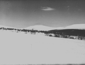 According to Yakimenko, a ski stick marked the place where Kolmogorova's body was found. Photo taken in March 1959. Presumably 3rd shift