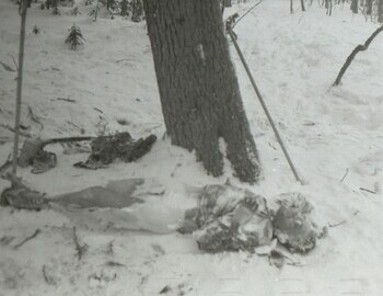 Krivonischenko. Photos from Feb 28 - Mar 1. By this time, Doroshenko's body was taken to the pass.