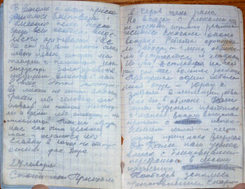 Lyudmila Dubinina's diary page 3